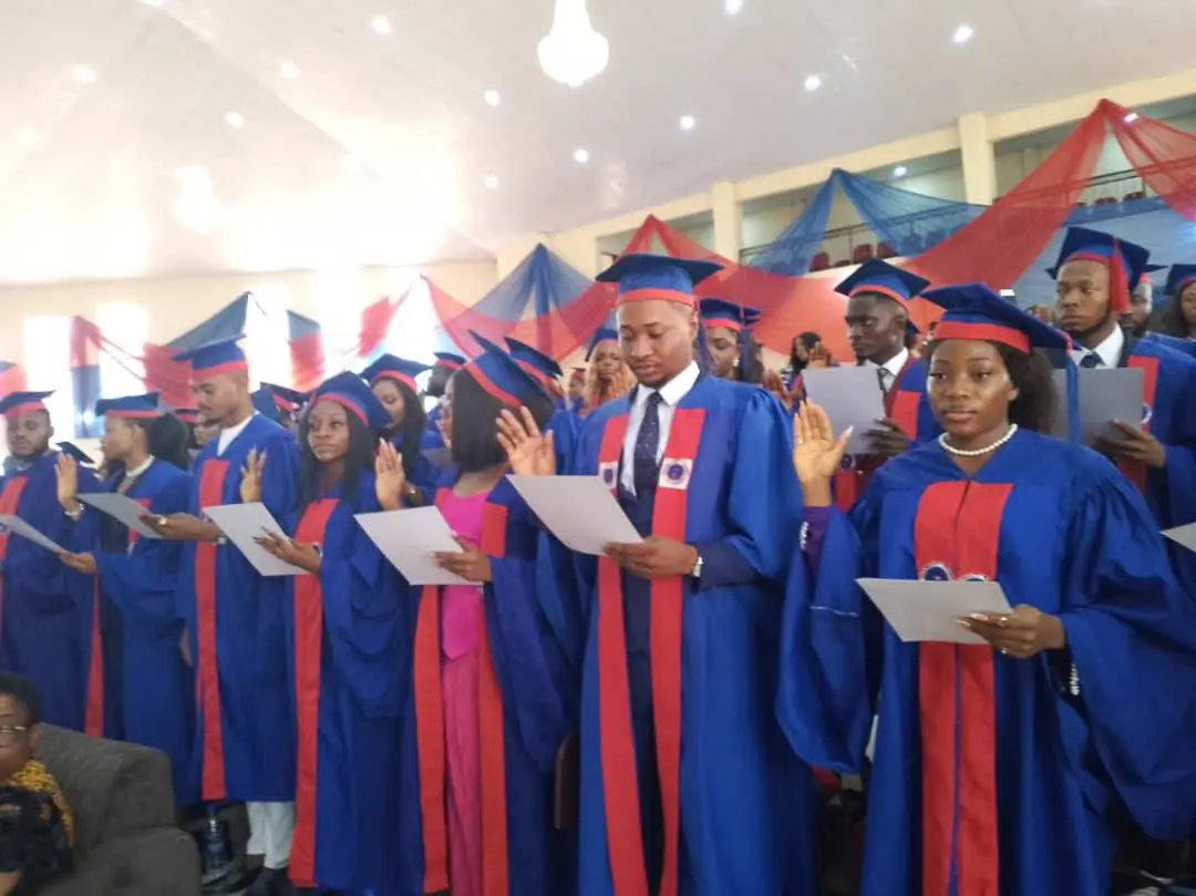 Undergraduate Studies